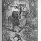Illustration for article titled This gruesome 1889 biology book outlined the many ways animals will kill us
